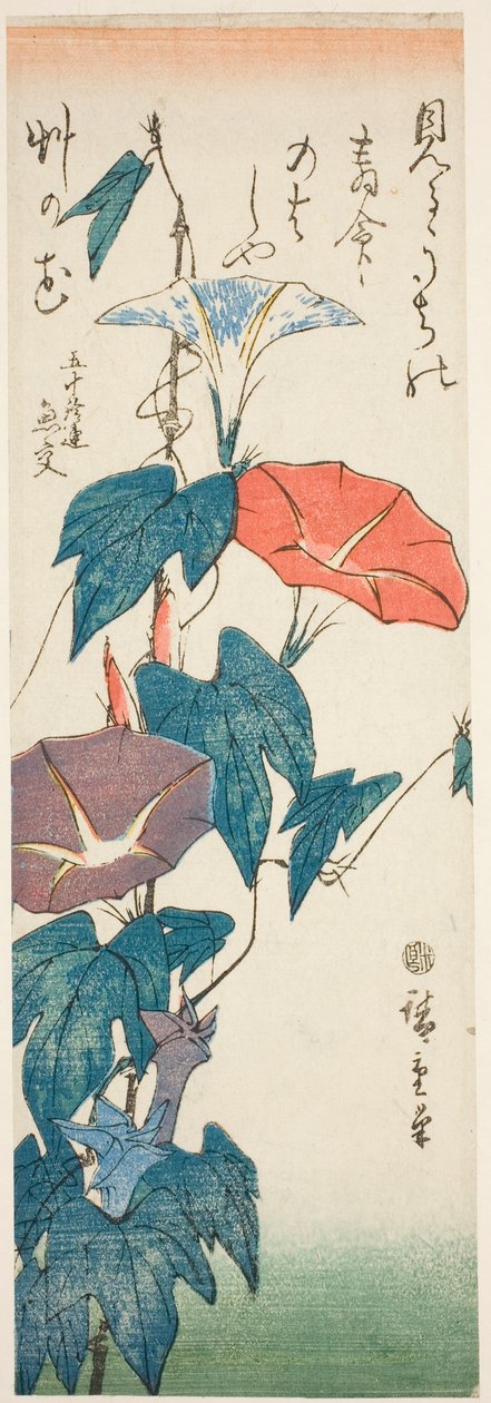 Morning Glories od Utagawa Hiroshige