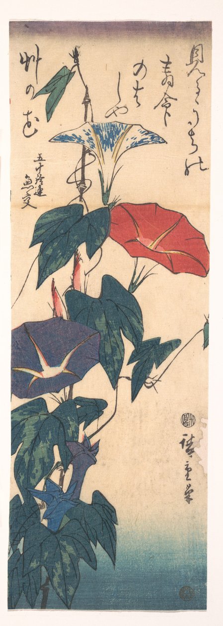 Prunkwinden od Utagawa Hiroshige