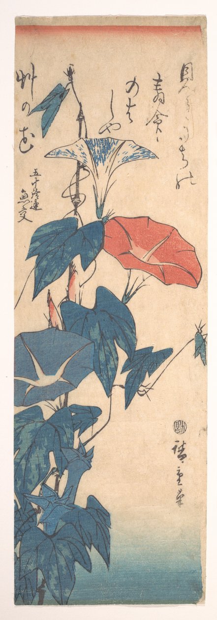 Prunkwinden od Utagawa Hiroshige