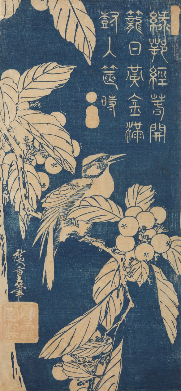 Japonský mišpulník a malý ptáček / Biwa ni kotori od Utagawa Hiroshige
