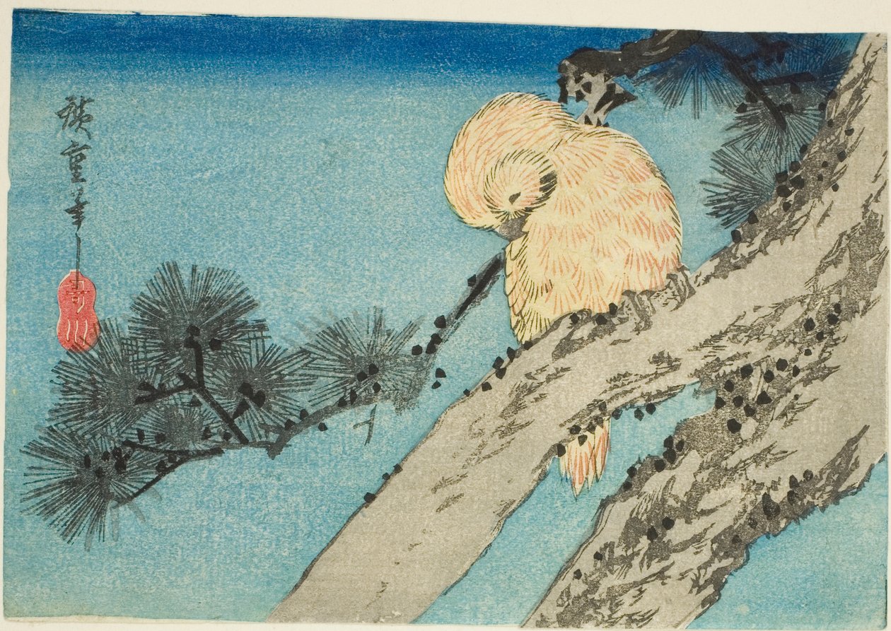 Sova na větvi borovice od Utagawa Hiroshige