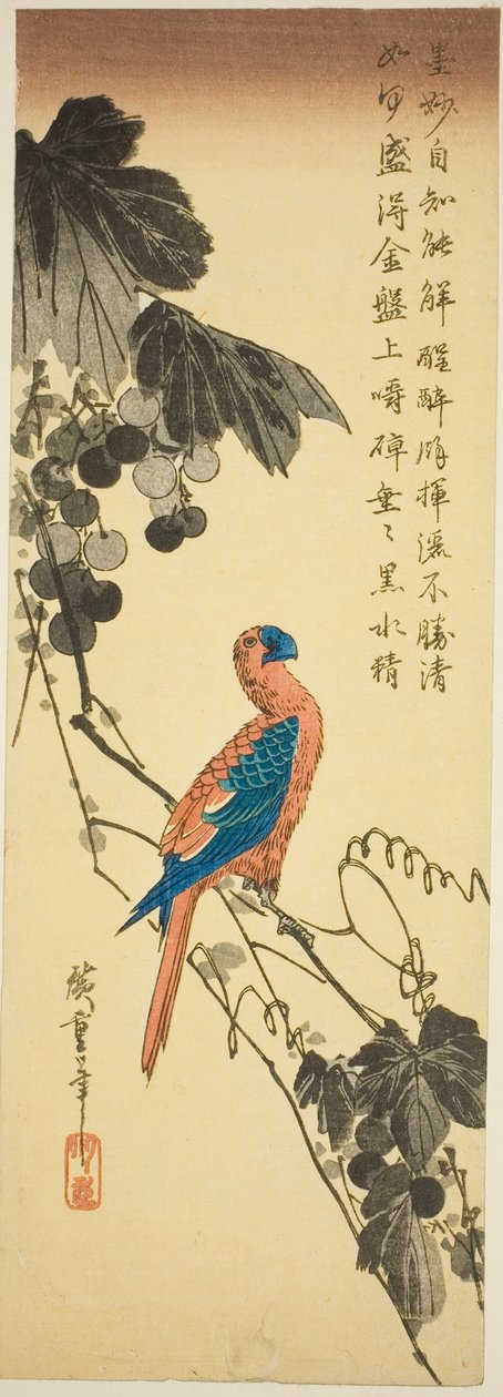 Papoušek na vinné révě od Utagawa Hiroshige