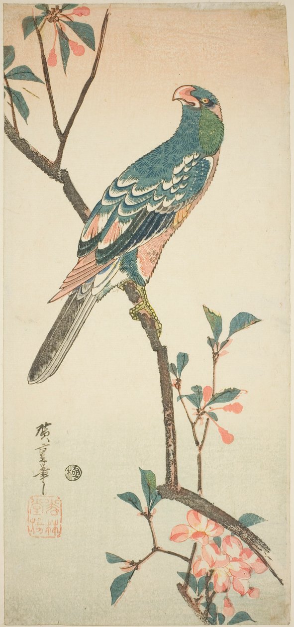 Papoušek na kvetoucí větvi od Utagawa Hiroshige