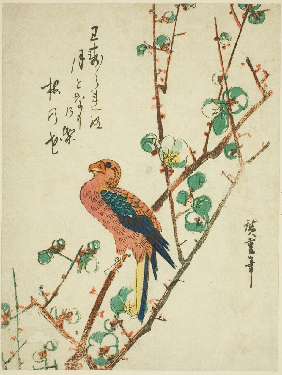 Papoušek na švestce od Utagawa Hiroshige