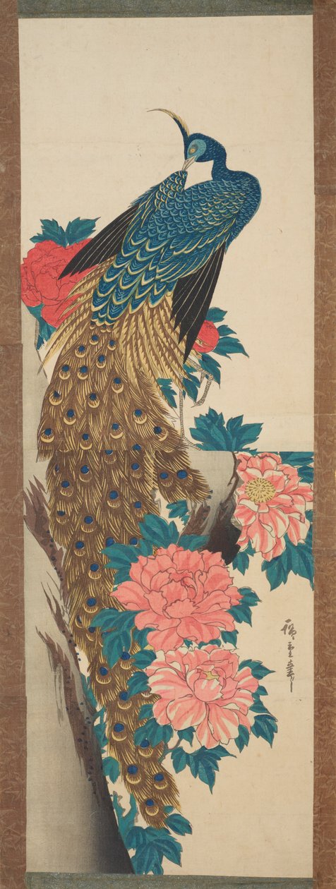 Páv a pivoňky / Botan ni kujaku od Utagawa Hiroshige