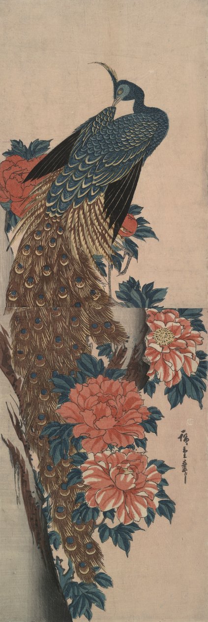 Páv a pivoňky od Utagawa Hiroshige