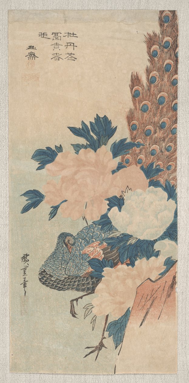 Páv a pivoňky, kolem roku 1830 od Utagawa Hiroshige