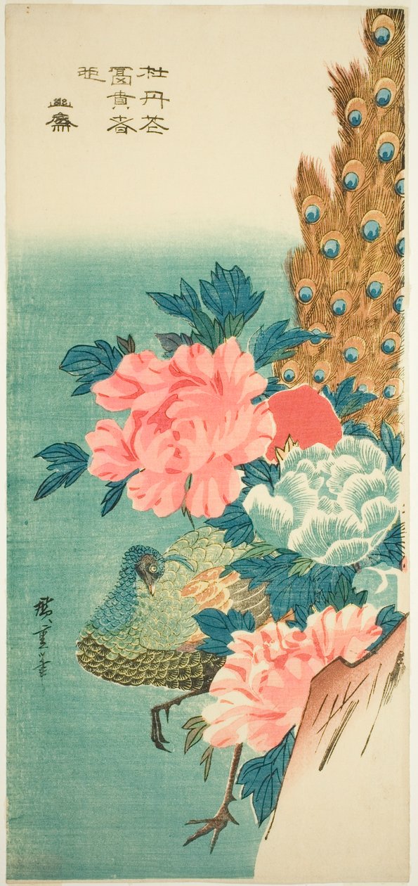 Páv a pivoňky od Utagawa Hiroshige
