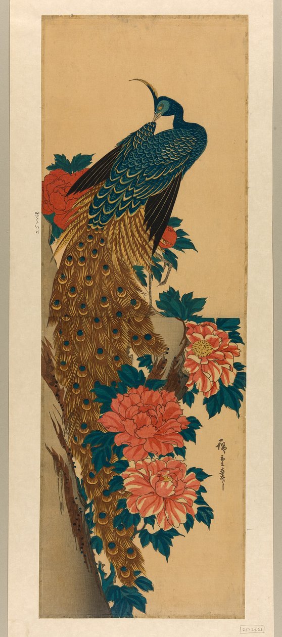 Páv a pivoňky od Utagawa Hiroshige