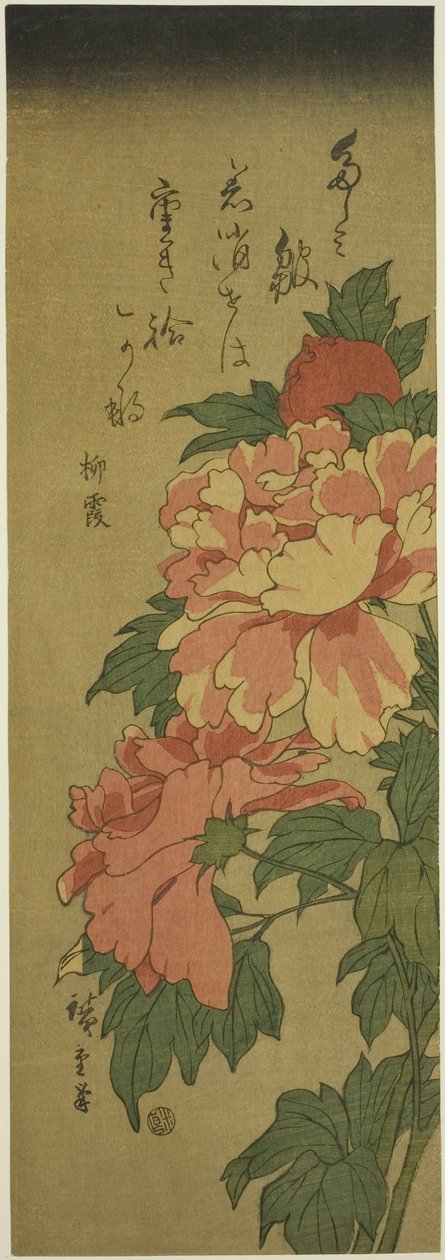 Pivoňky od Utagawa Hiroshige