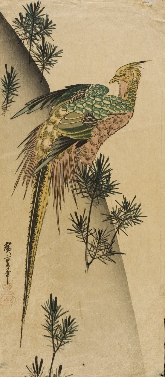 Bažant mezi borovými výhonky od Utagawa Hiroshige