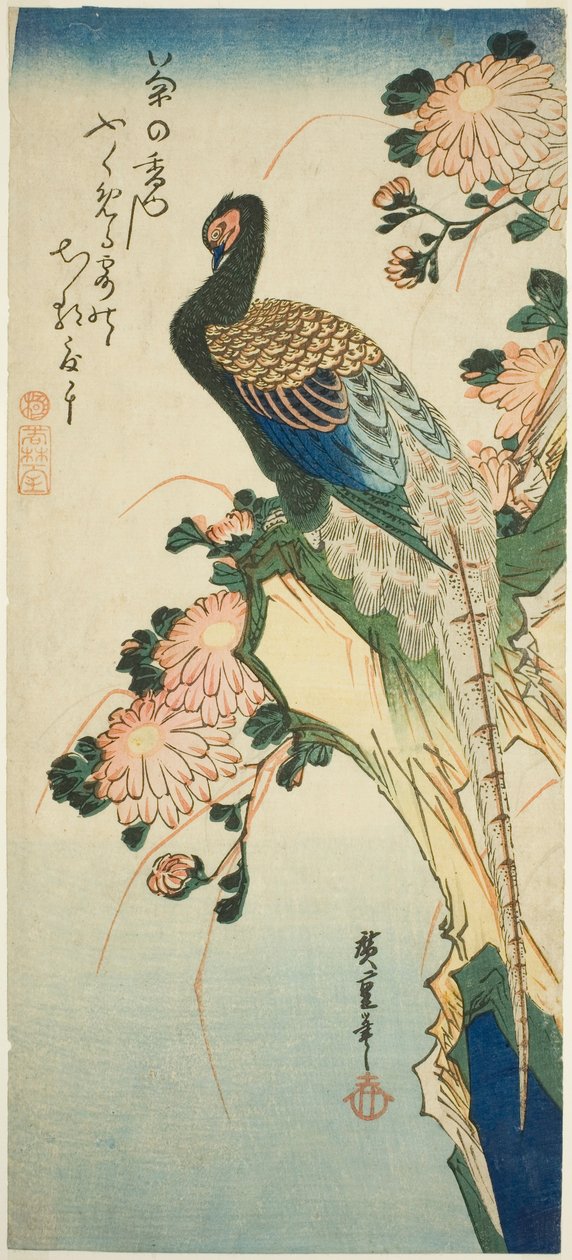 Bažant a chryzantémy od Utagawa Hiroshige