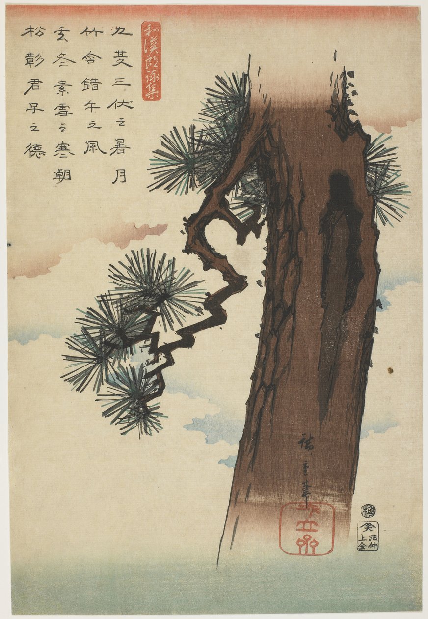 Pine Tree, 1837-1844 (barevný dřevotisk) od Utagawa Hiroshige