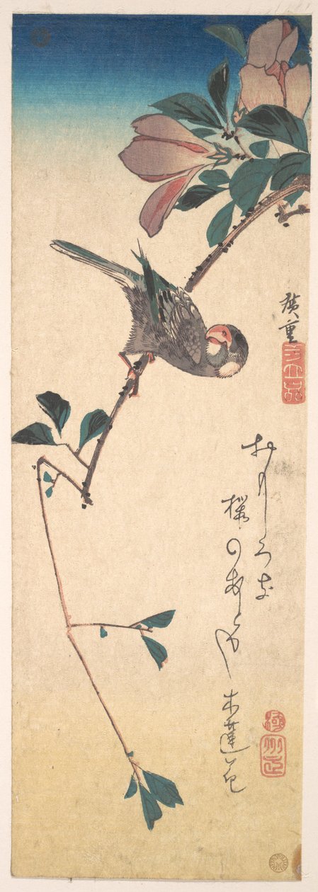 Purpurmagnolie und Hornvogel od Utagawa Hiroshige
