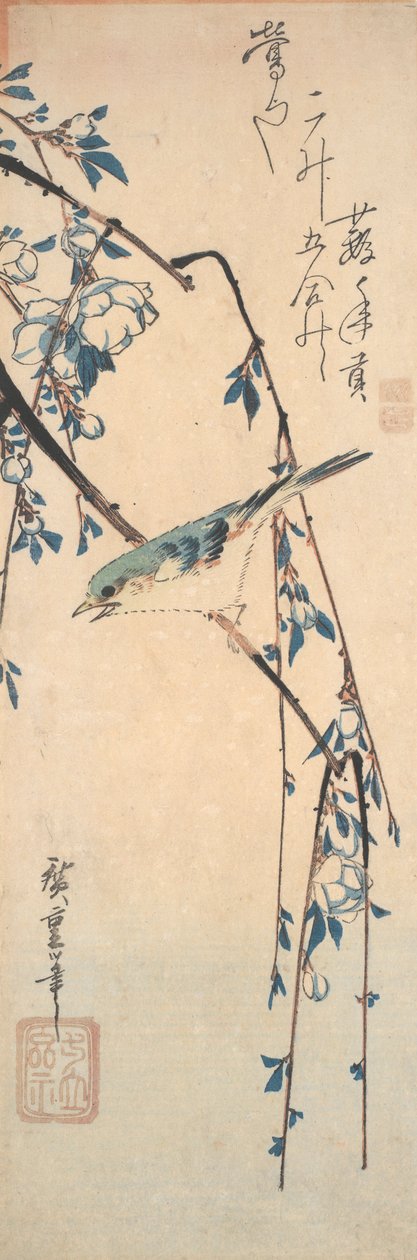 Blue-flaked Bluetail na třešňové větvi od Utagawa Hiroshige