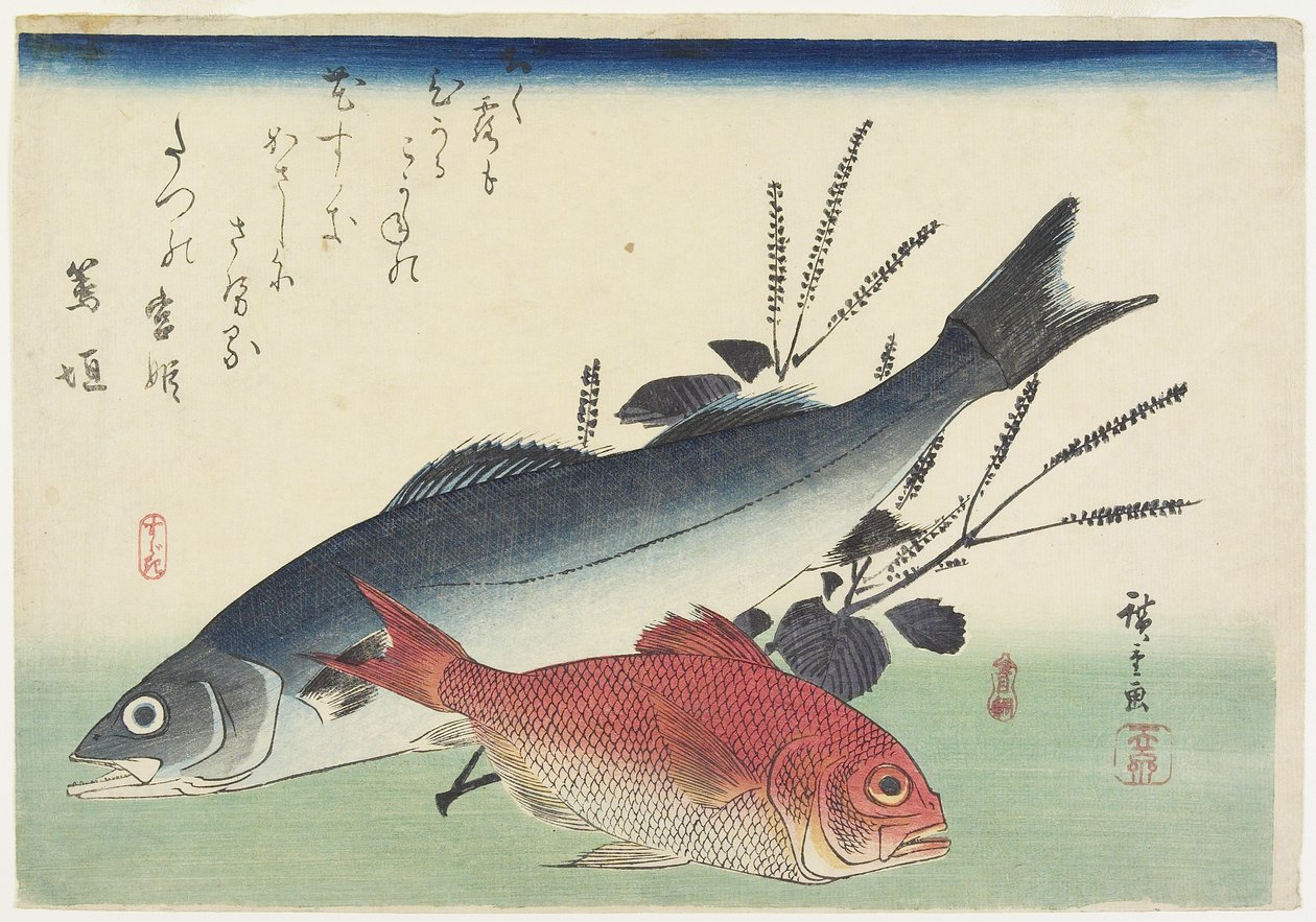 Chňapal červený, mořský okoun a perilla, c. 1840 od Utagawa Hiroshige