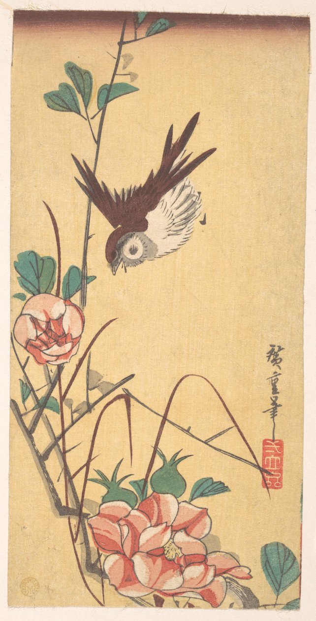 Růže a vrabec od Utagawa Hiroshige
