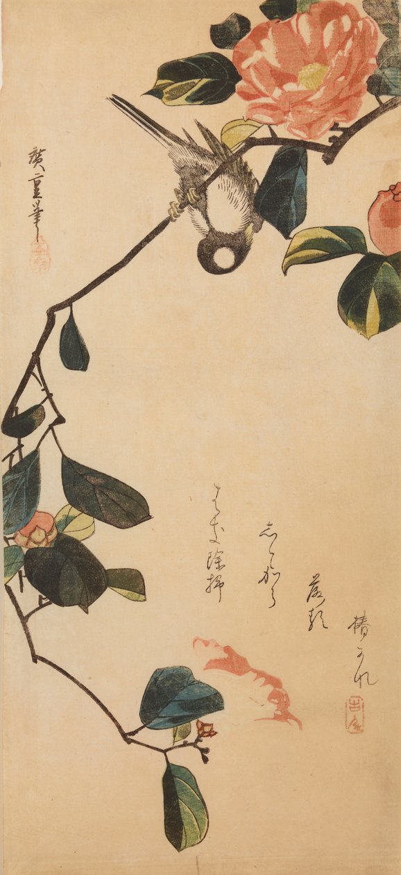 Sýkorka na větvičce kvetoucí kamélie / Tsubaki-ni shijukara od Utagawa Hiroshige