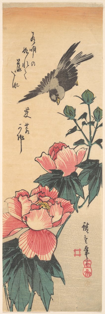 Vrabec a ibišek od Utagawa Hiroshige