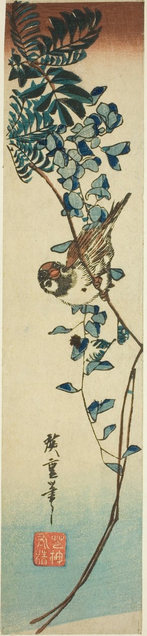 Vrabec a vistárie od Utagawa Hiroshige