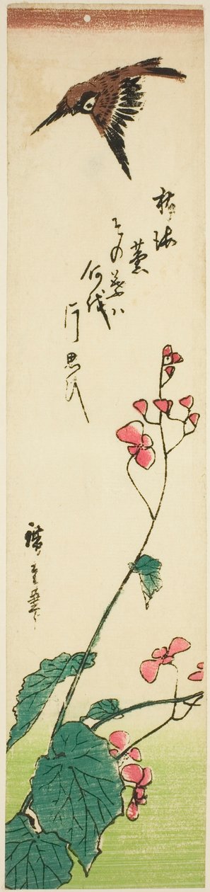 Vrabec letící nad begóniemi od Utagawa Hiroshige