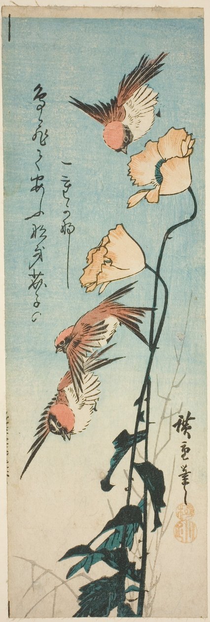 Vrabci a máky od Utagawa Hiroshige