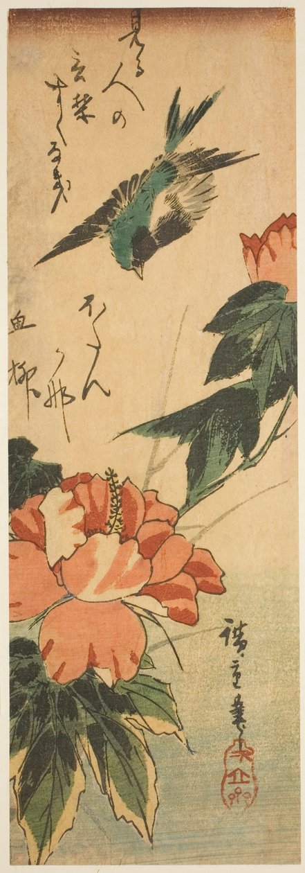 Vlaštovka a ibišek od Utagawa Hiroshige