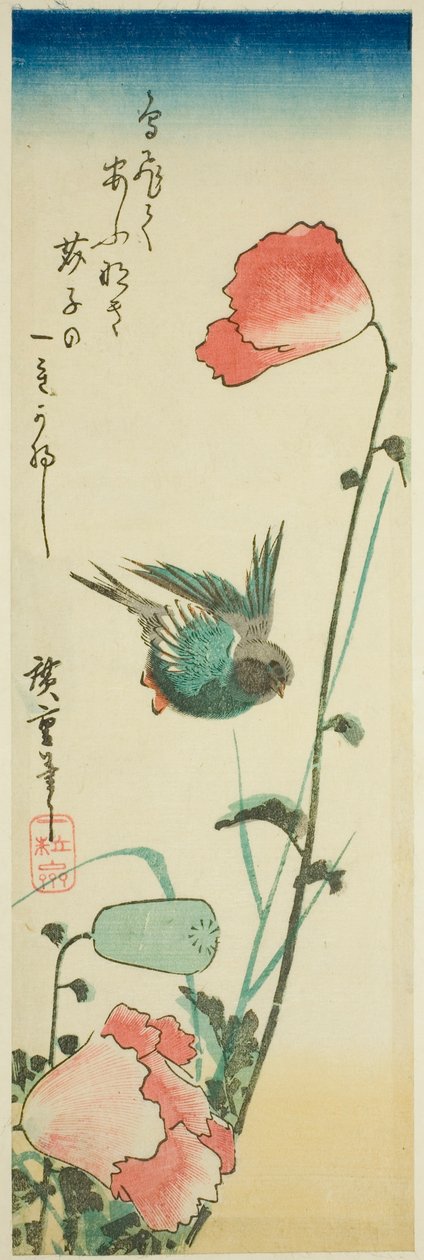 Vlaštovka a mák od Utagawa Hiroshige