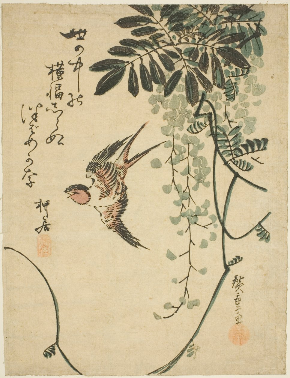 Vlaštovka a vistárie od Utagawa Hiroshige