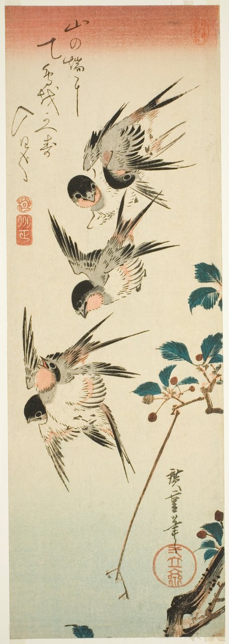Vlaštovky a třešňové květy od Utagawa Hiroshige
