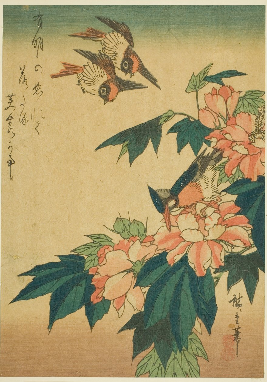 Vlaštovky, ledňáček říční a ibišek od Utagawa Hiroshige