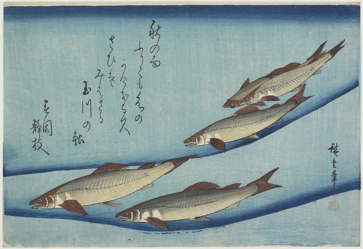 Sweetfish, 1832-1833 od Utagawa Hiroshige