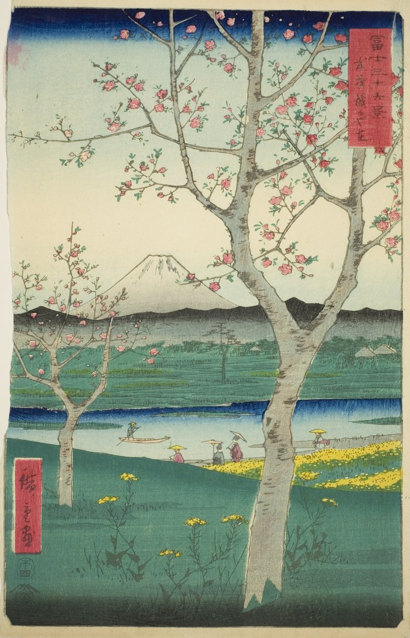 Předměstí Koshigaya v provincii Musashi (Musashi Koshigaya zai), ze série „Třicet šest pohledů na horu Fuji (Fuji sanjurokkei)“ od Utagawa Hiroshige