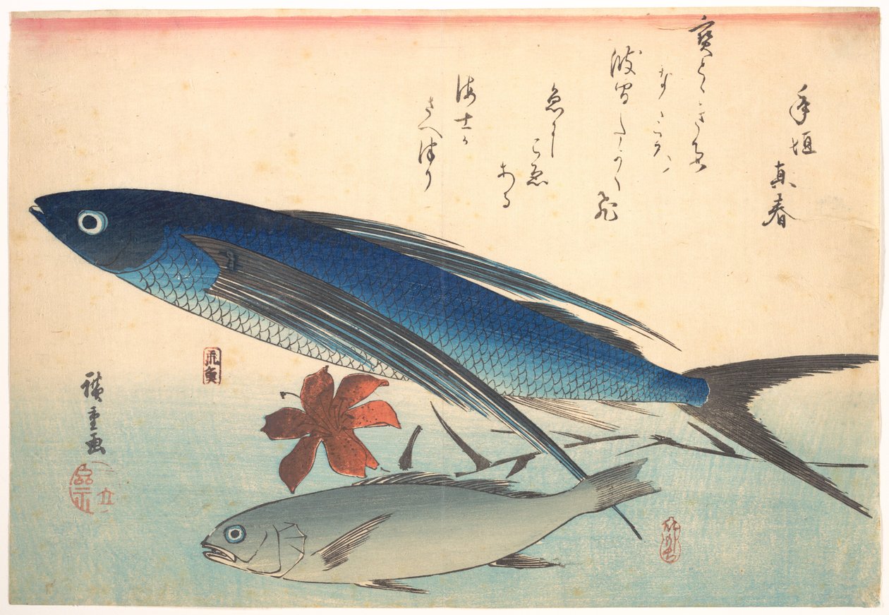 Ryby tobiuo a ishimotchi, ze série Uozukushi (Všechny druhy ryb) od Utagawa Hiroshige