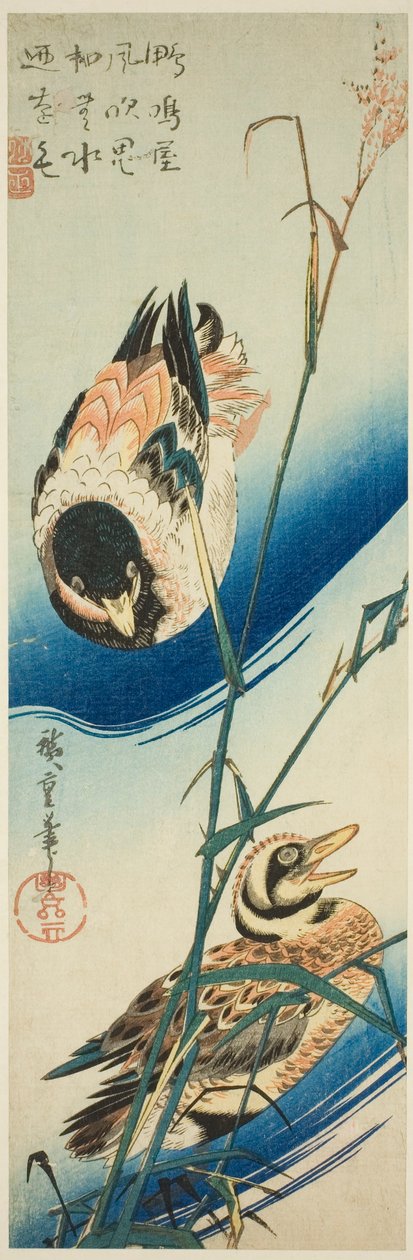 Dvě kachny plavající mezi rákosím od Utagawa Hiroshige