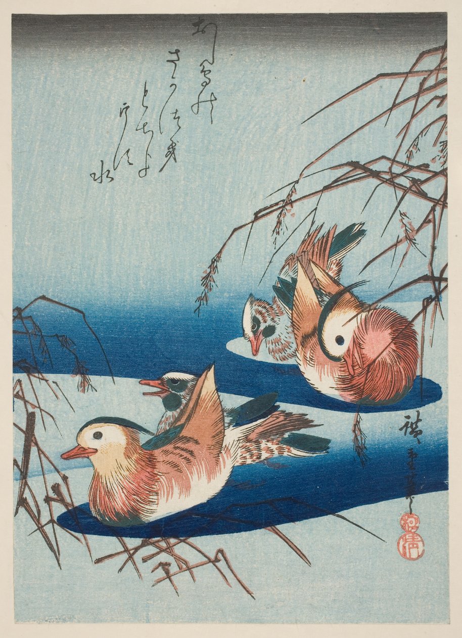 Dva páry mandarinských kachen (barevný dřevotisk) od Utagawa Hiroshige