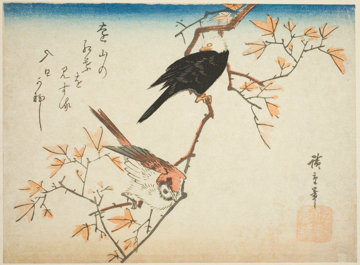 Dva ptáci na javorové větvi od Utagawa Hiroshige