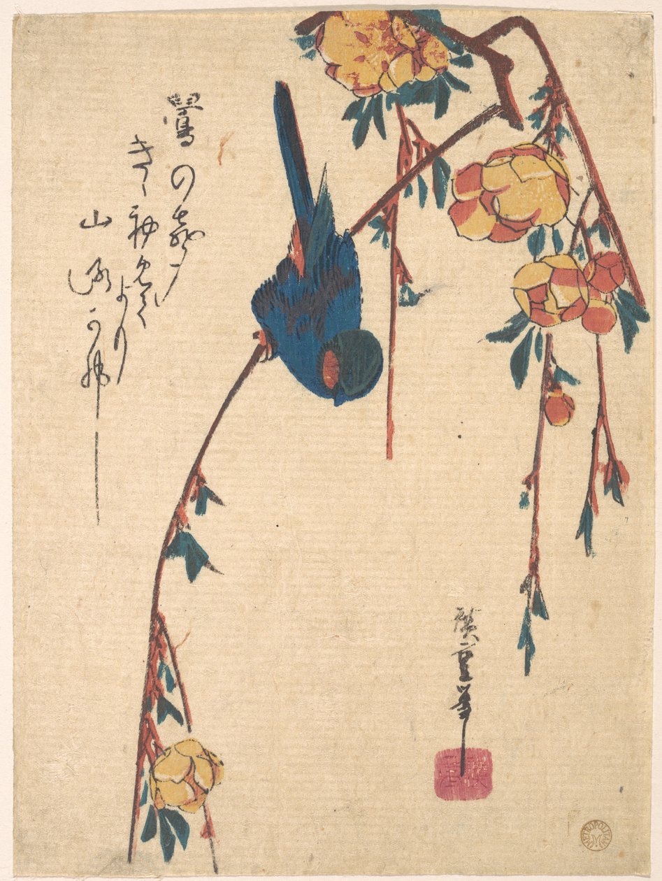 Převislá třešeň a modrý pták od Utagawa Hiroshige