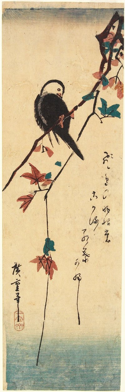 Pták s bílou hlavou na javorové větvi od Utagawa Hiroshige