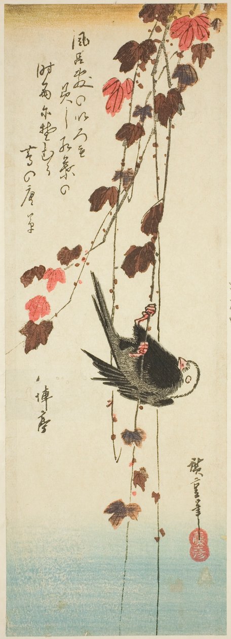 Bílohlavý pták a břečťan od Utagawa Hiroshige