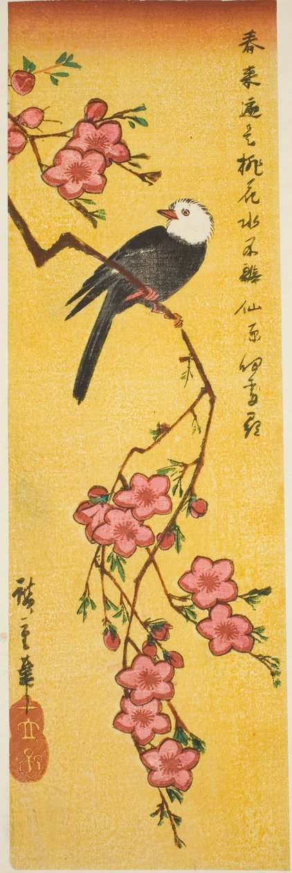 Bělohlavý pták na větvi broskve od Utagawa Hiroshige