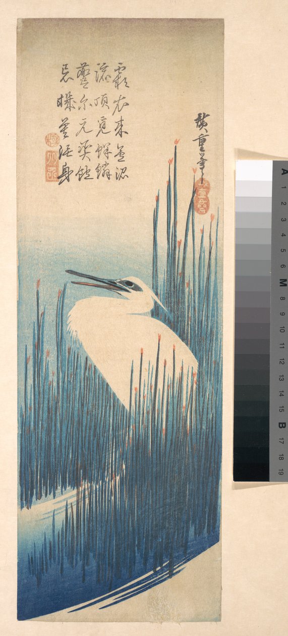 Weißer Reiher zwischen Schilf od Utagawa Hiroshige
