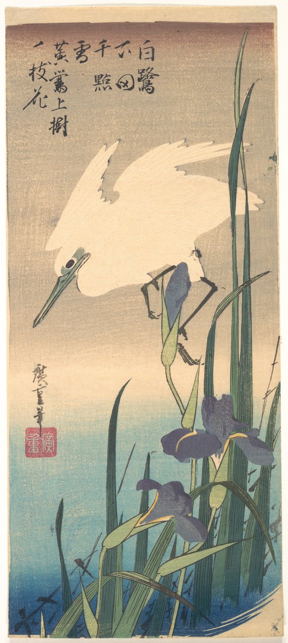Bílá volavka a kosatec od Utagawa Hiroshige