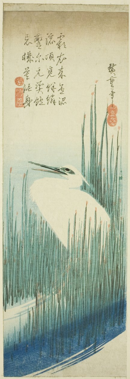 Bílá volavka a štětce od Utagawa Hiroshige