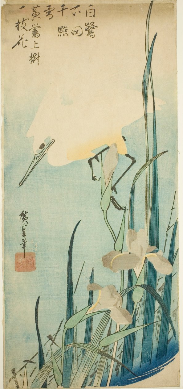 Bílá volavka a kosatec od Utagawa Hiroshige