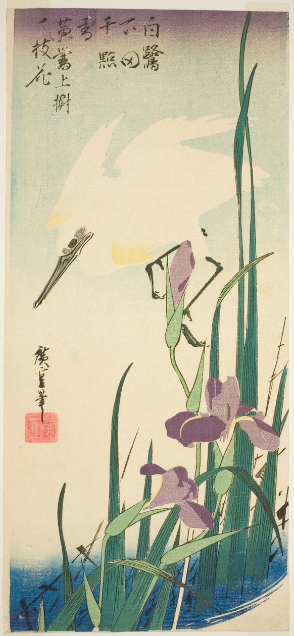 Bílá volavka a kosatec od Utagawa Hiroshige