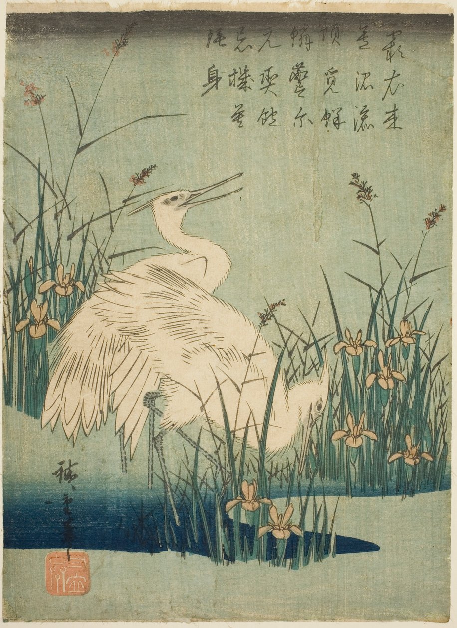 Bílé volavky a kosatec od Utagawa Hiroshige
