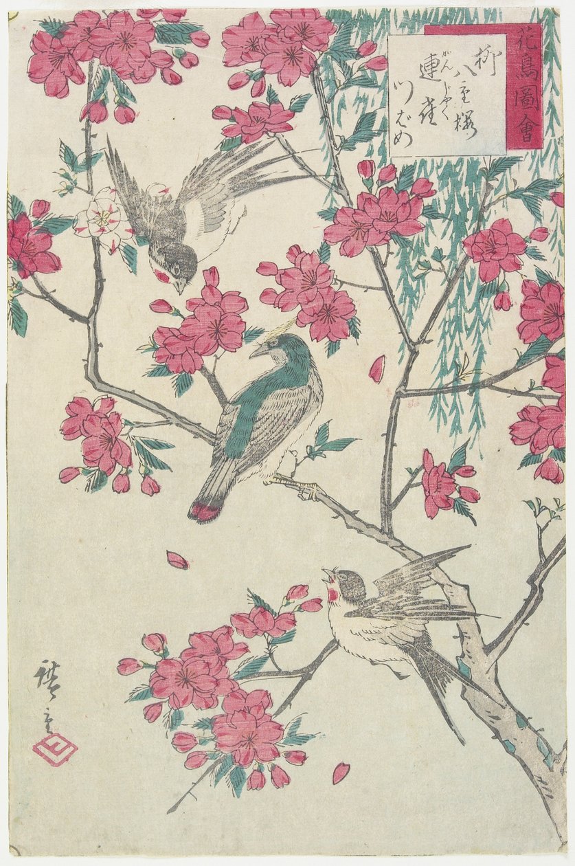 Vrba, třešňové květy, vrabci a vlaštovka, počátek 19. století od Utagawa Hiroshige