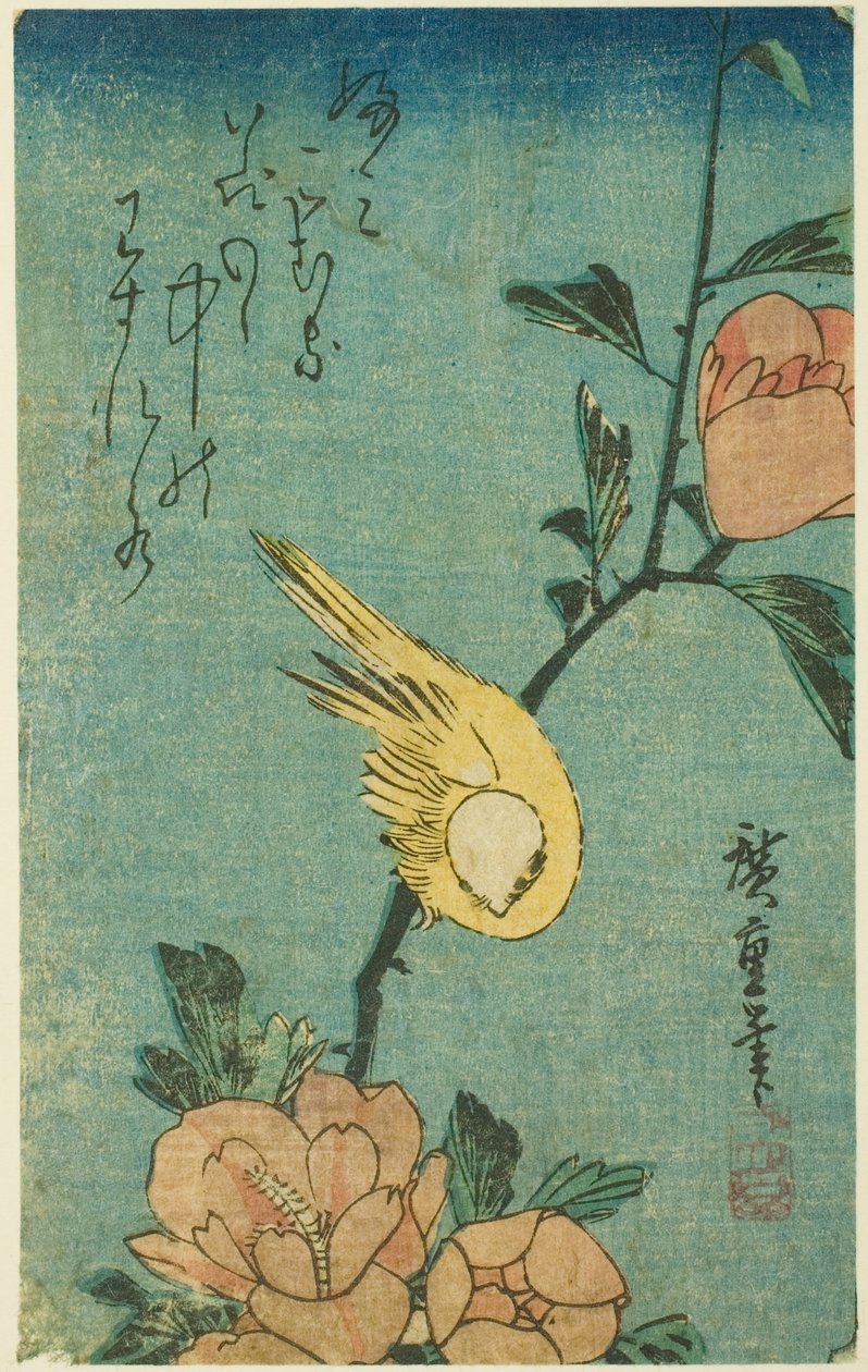 Žlutý pták a ibišek od Utagawa Hiroshige
