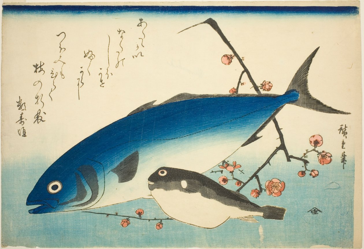 Yellowtail, blowfish, a švestka větev od Utagawa Hiroshige